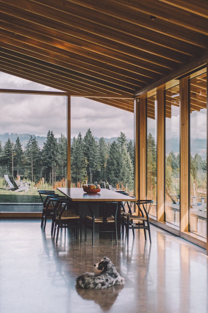 Services Cozy modern dining room with a glass wall and serene forest view, featuring a resting dog.